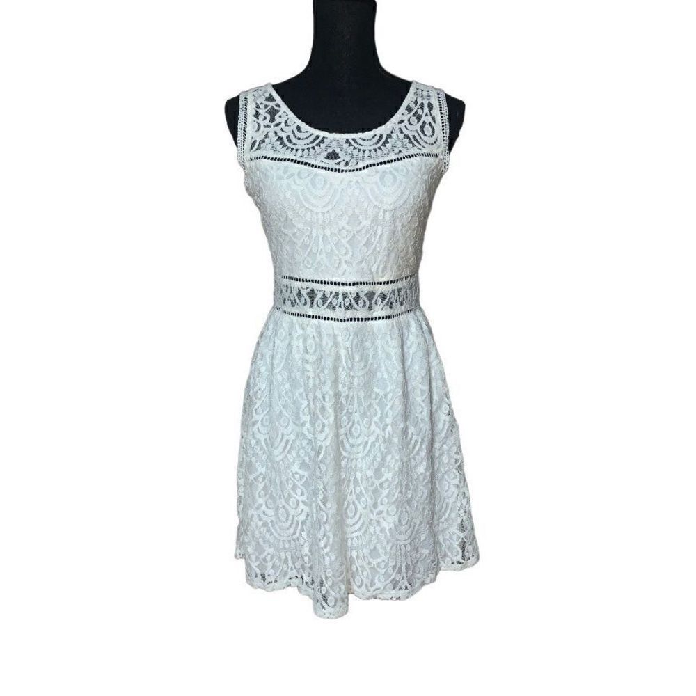 Trixxi Skater Dress